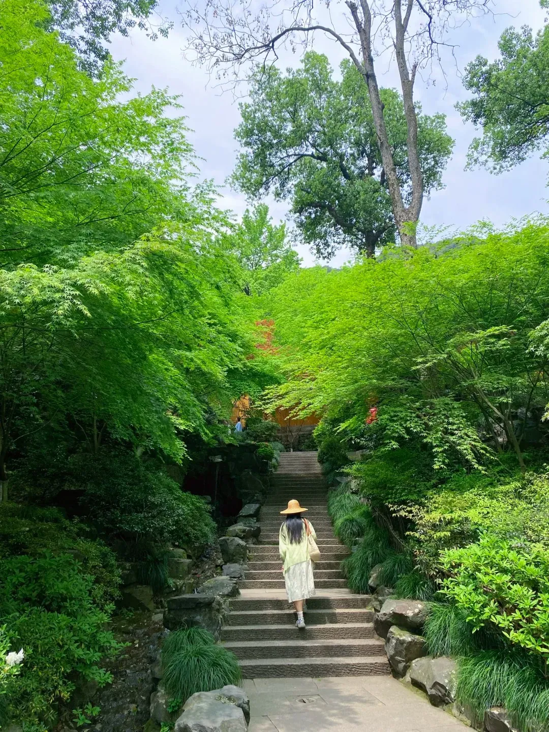 Traditional halls and forested surroundings at Lingyin Temple in Hangzhou