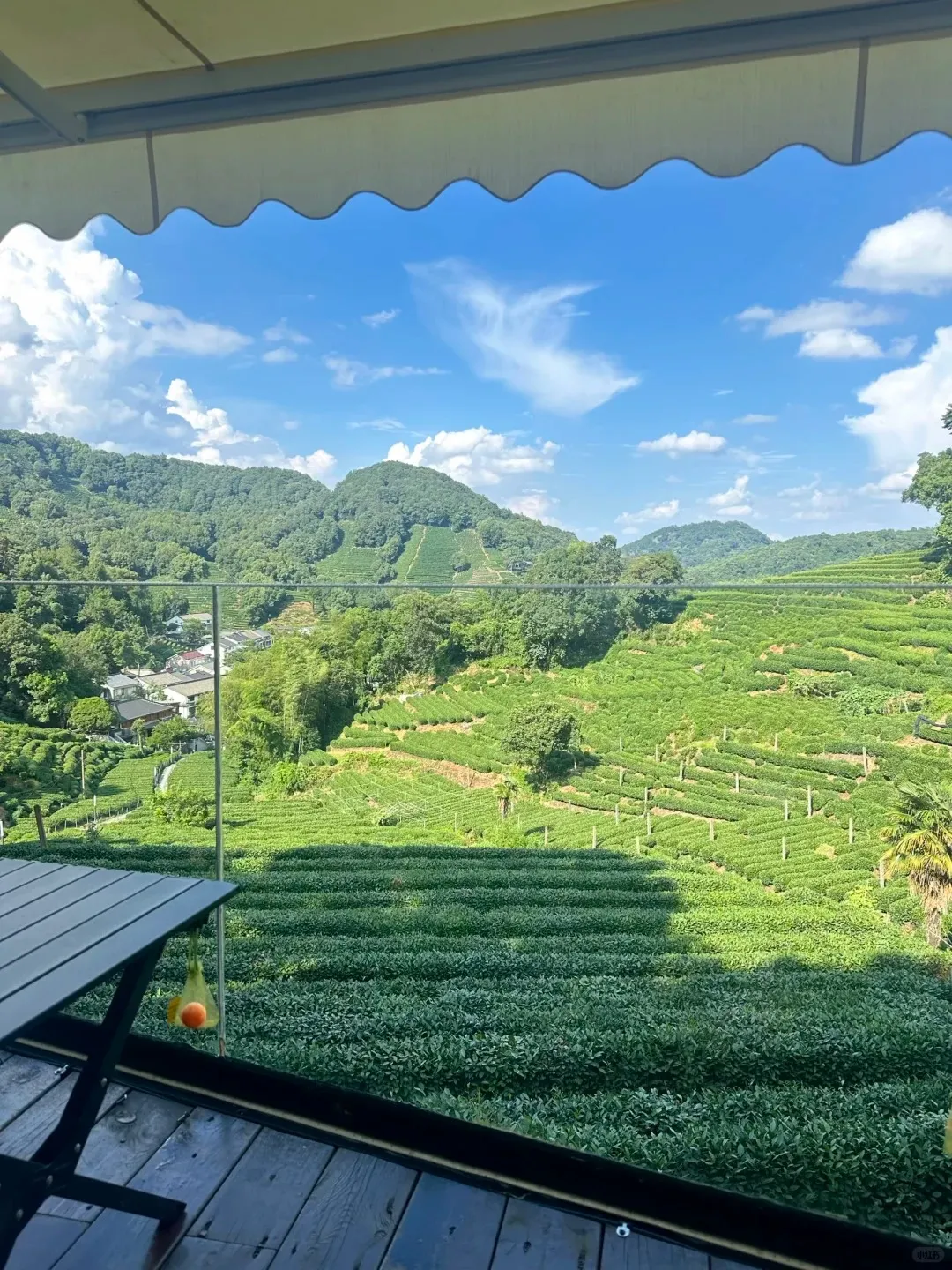 Terraced green tea fields at Longjing Village in Hangzhou