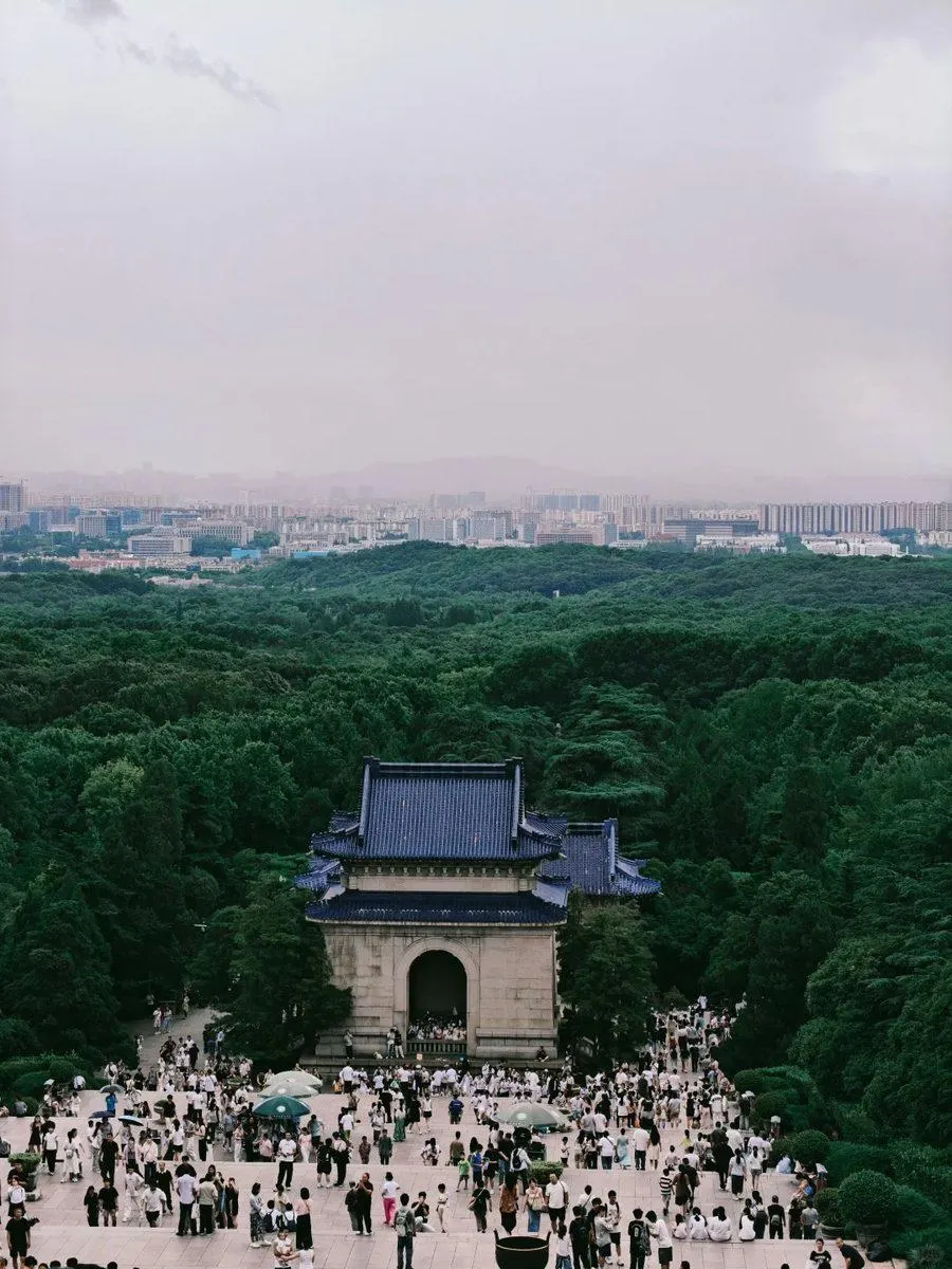 Wooded Zhongshan Mountain scenic area in Nanjing