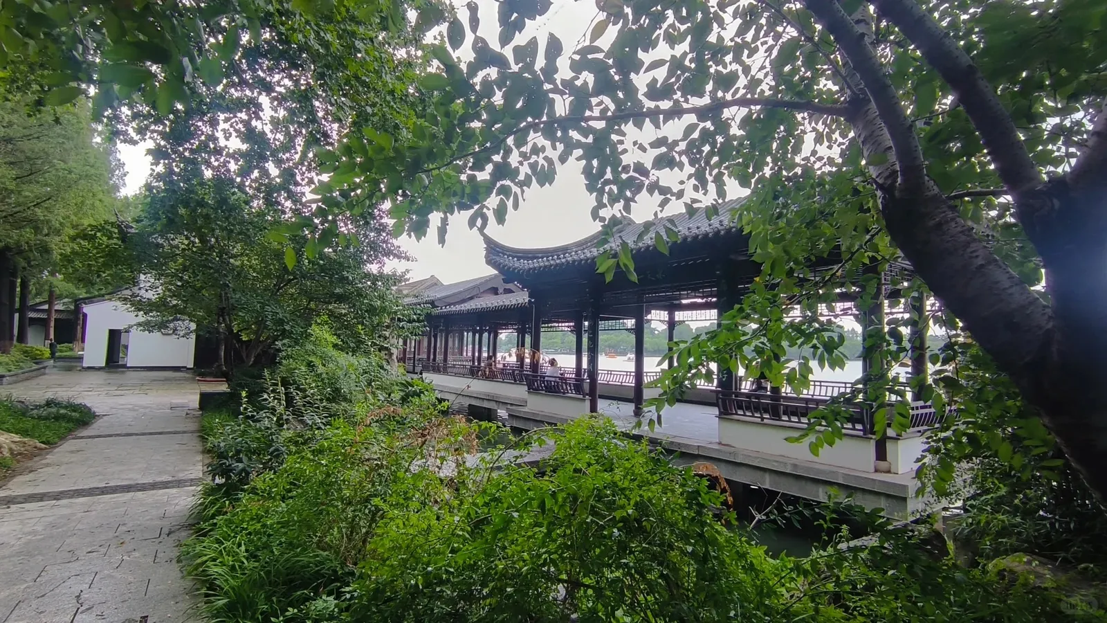Walking path at Xuanwu Lake