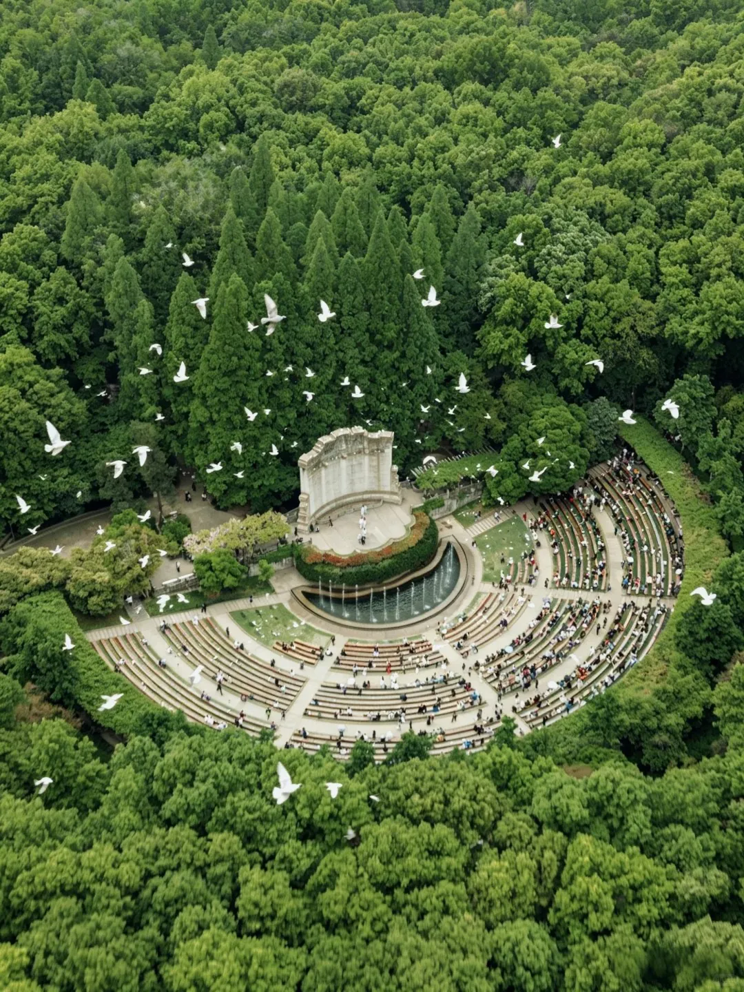 Woodland at Zhongshan Mountain in Nanjing