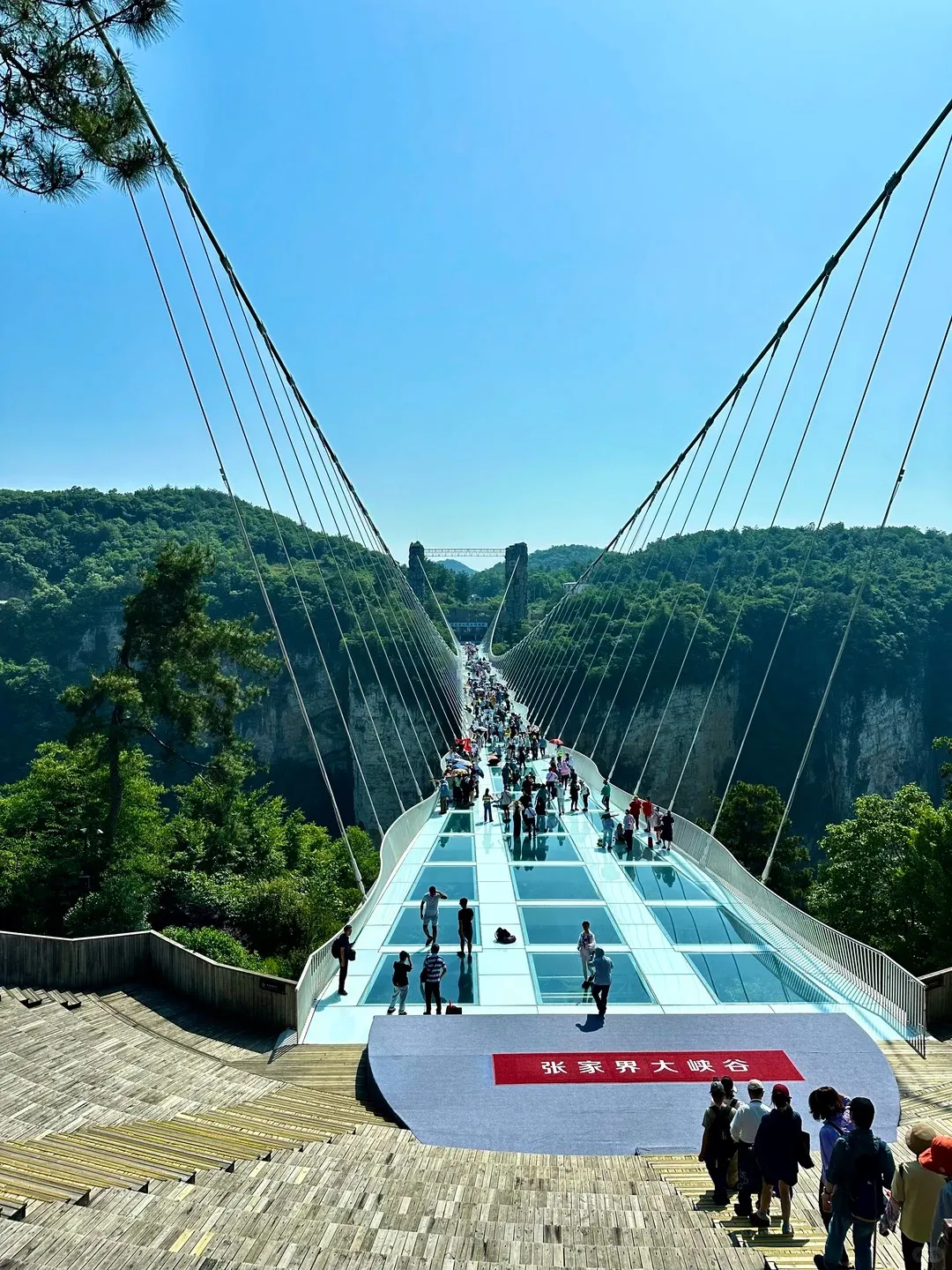 Grand Canyon Glass Bridge in Zhangjiajie