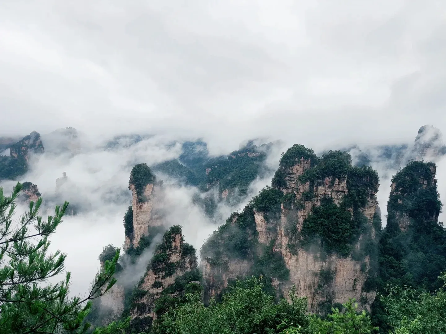 Sandstone pillars in Zhangjiajie National Forest Park