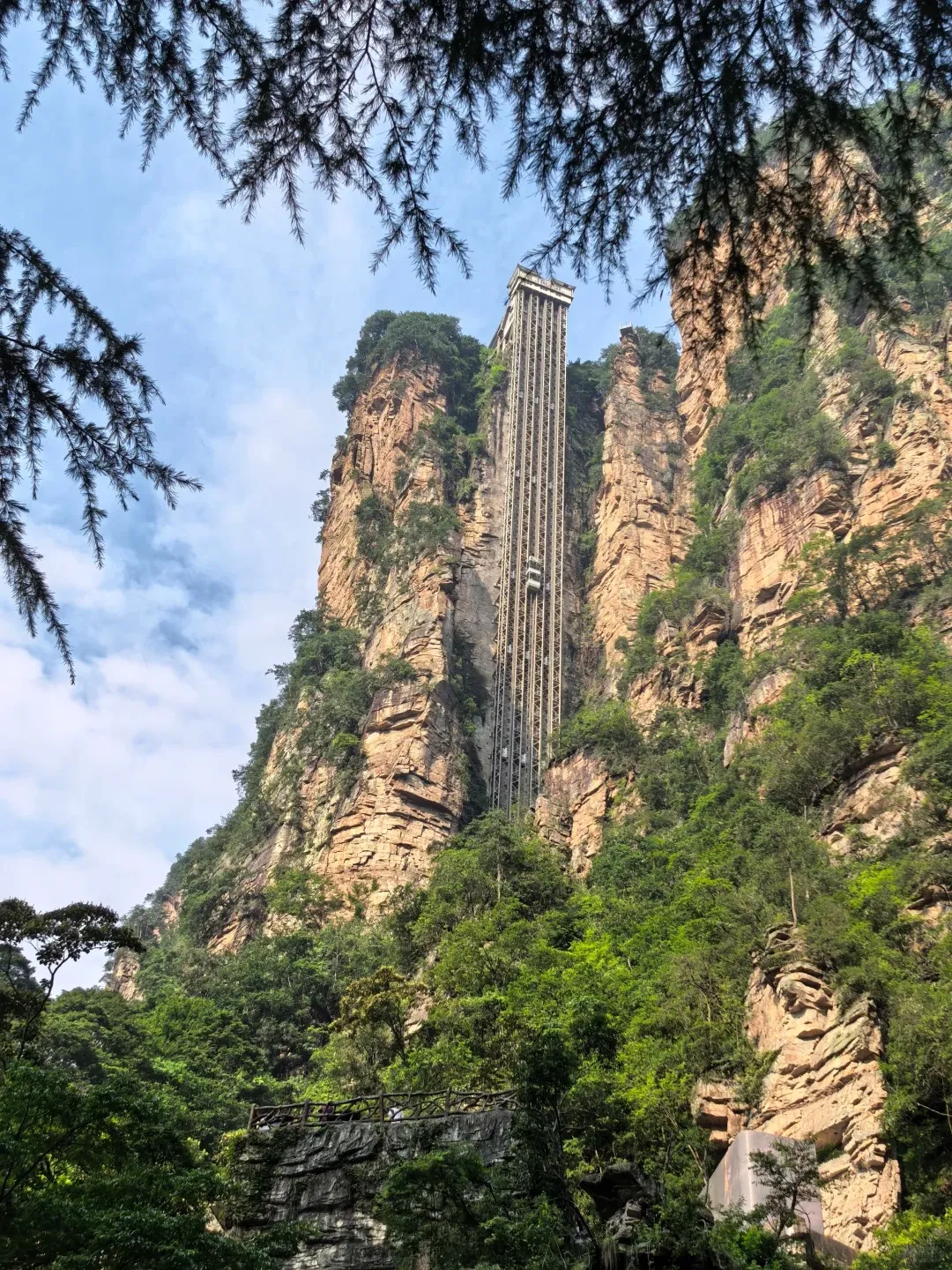 Zhangjiajie forest landscape