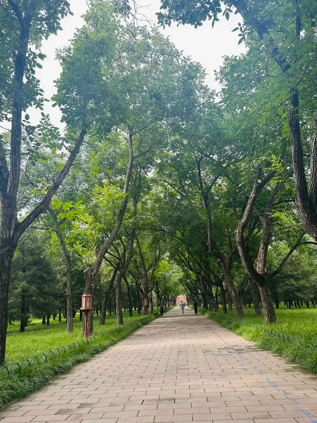 The Hall of Prayer for Good Harvests at the Temple of Heaven
