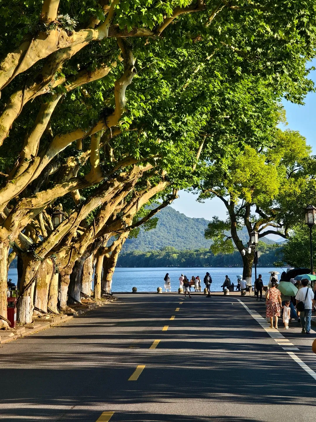 West Lake in Hangzhou with green hills and traditional lakeside scenery