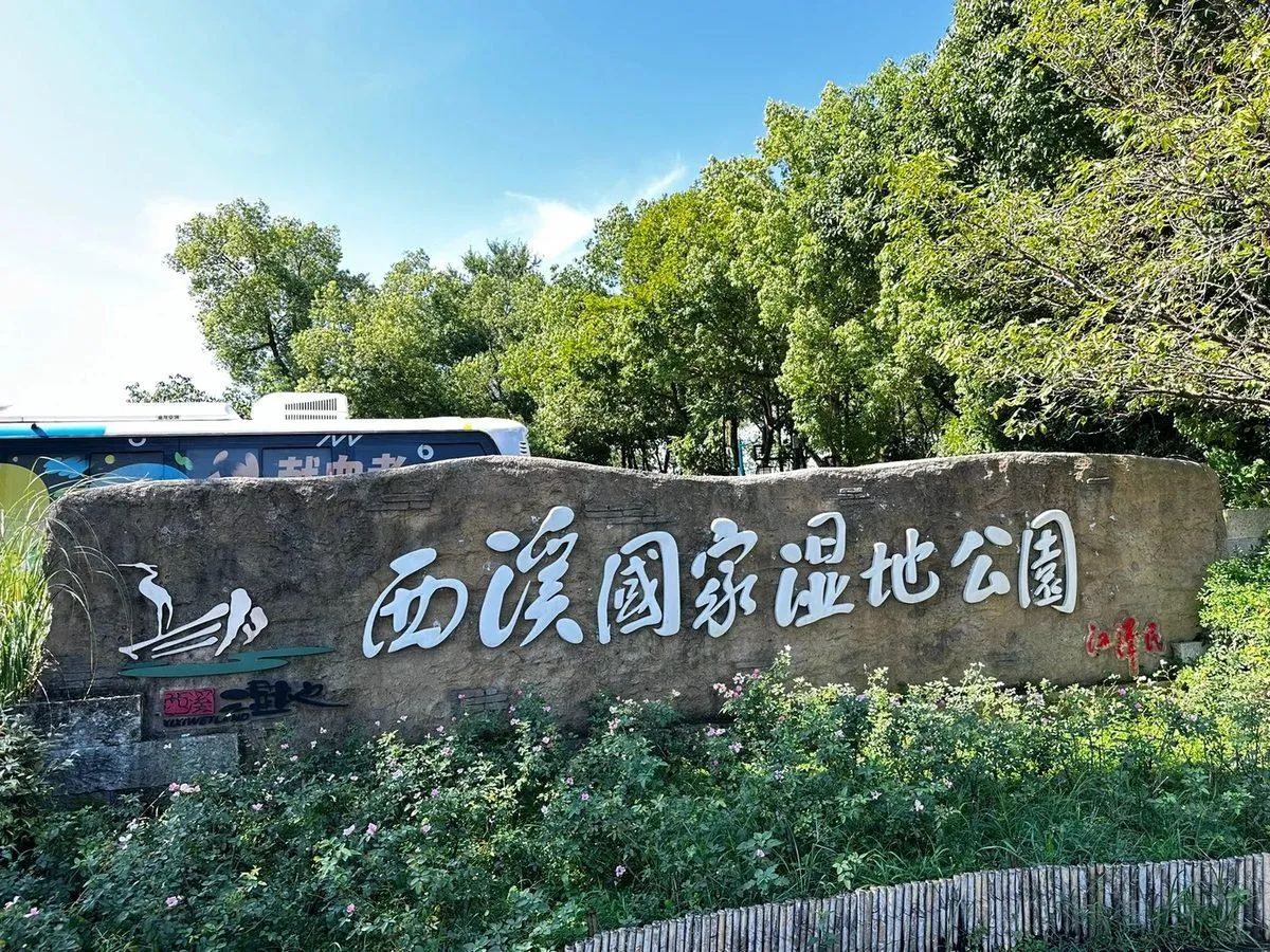 Green wetland waterways and traditional boat at Xixi Hangzhou