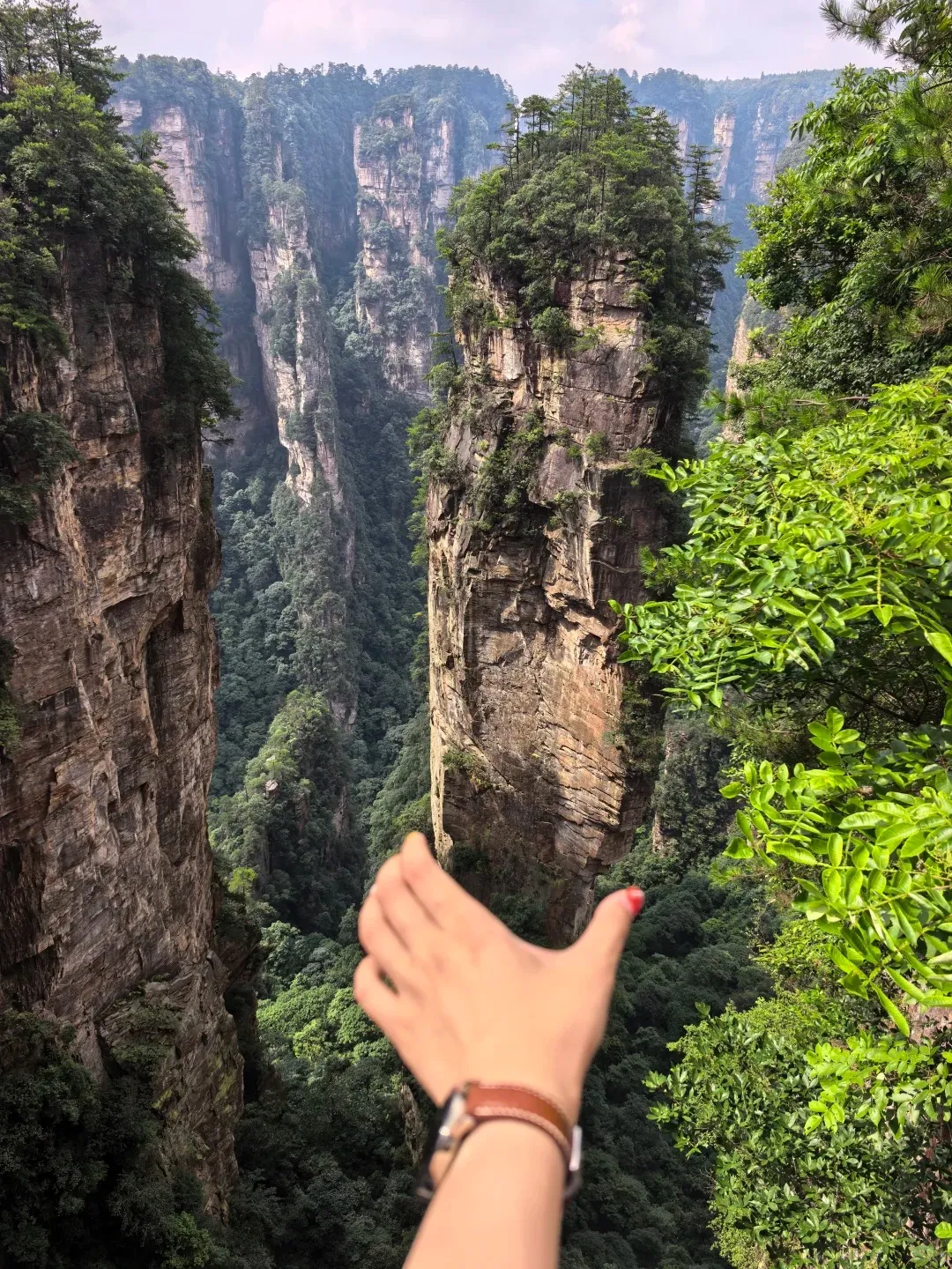 Tall sandstone pillars at Zhangjiajie National Forest Park